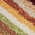 Group of pulses